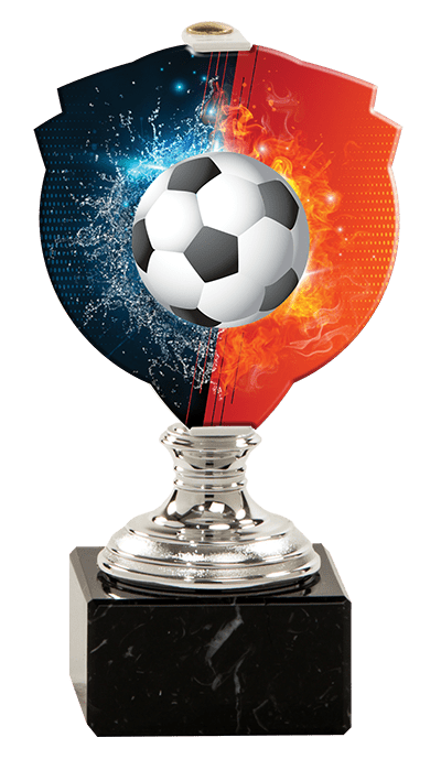 Trofej striebornej farbyPLEXI futbal