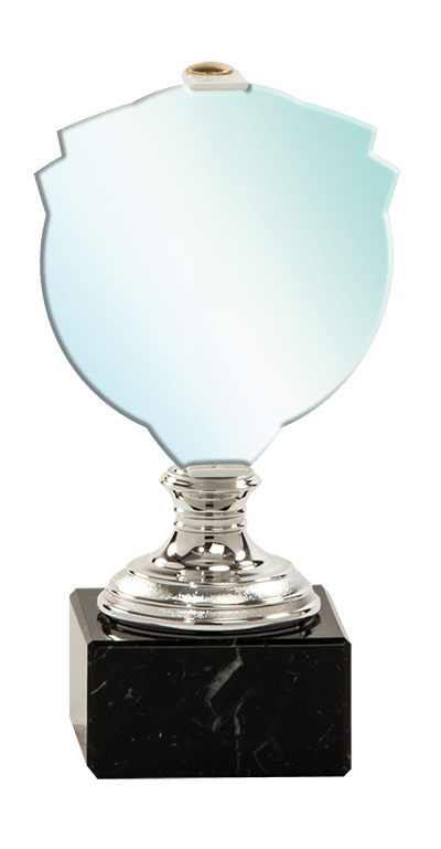 Trofej striebornej farbyPLEXI neutrál