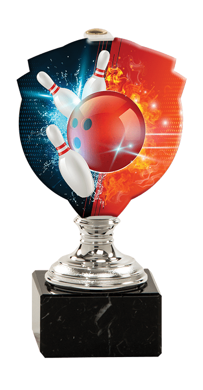 Trofej striebornej farbyPLEXI bowling