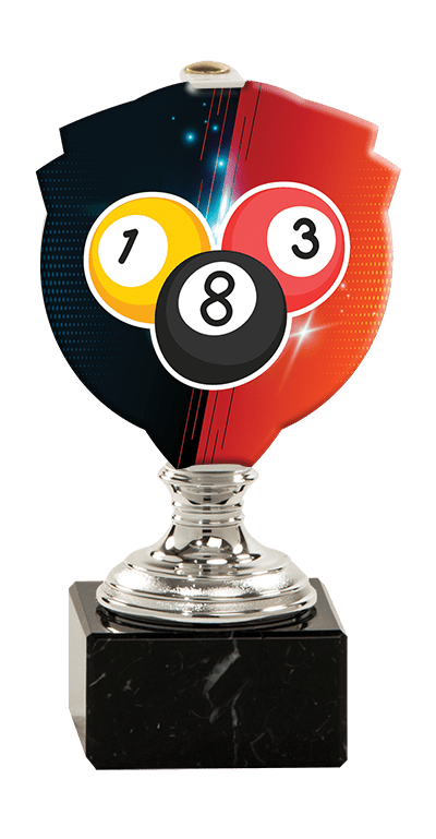 Trofej striebornej farbyPLEXI biliard