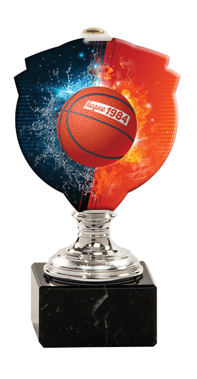 Trofej striebornej farby PLEXI basketbal
