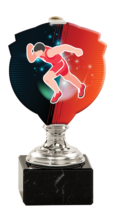 Trofej striebornej farby PLEXI beh