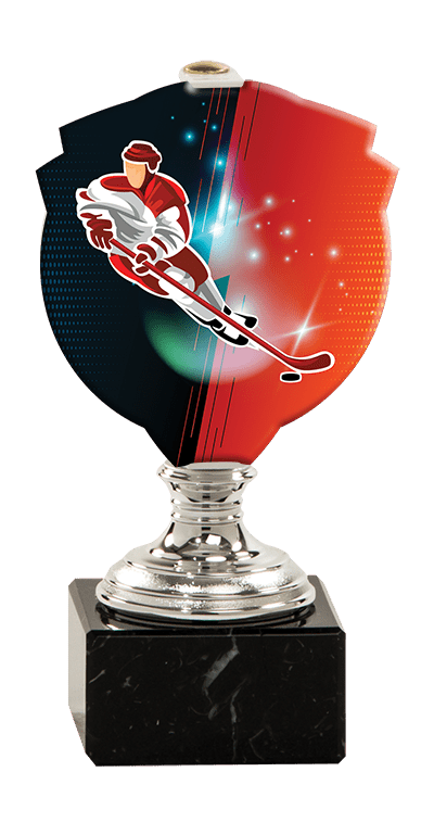 Trofej striebornej farbyPLEXI hokej