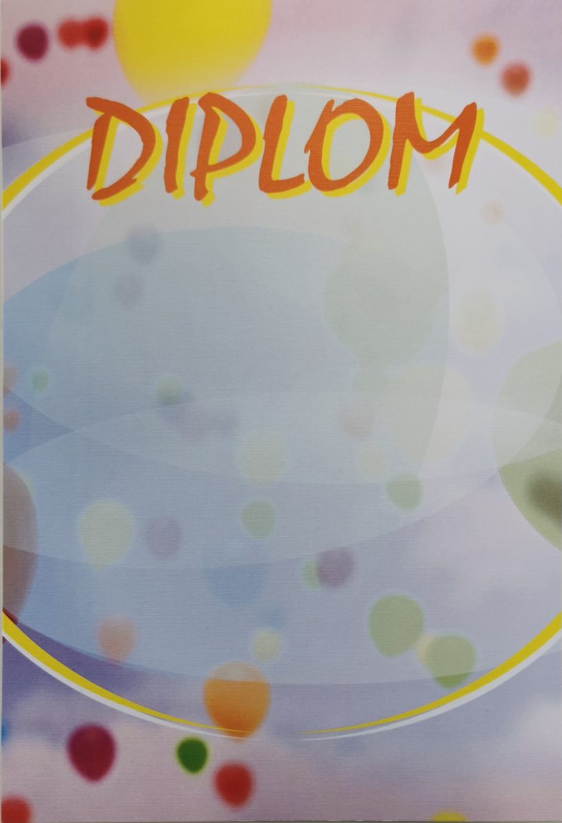 Diplom vzor