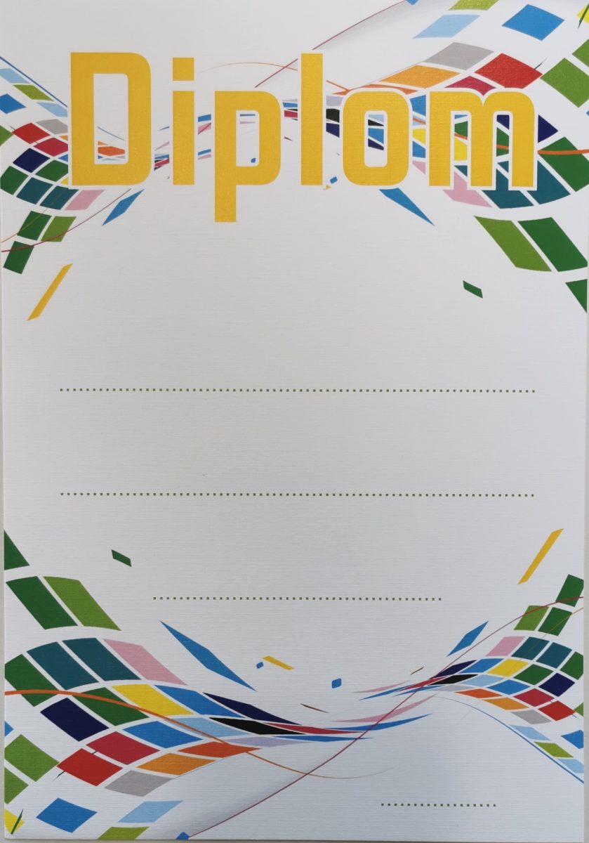 Diplom vzor