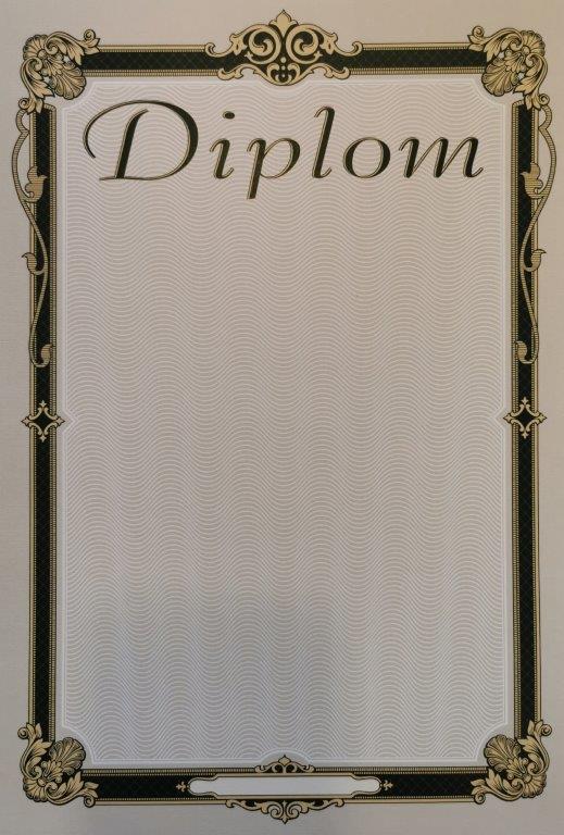 Diplom vzor